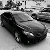 alishe972