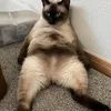cjkjfzrhk.hxxl