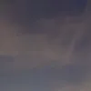 ysja.a