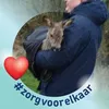 sanderverhemeldon