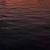 hassanfuaadh_22