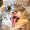 joseinternet0