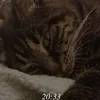 morgan_2808