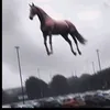 qwegafs