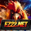 ez22net