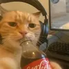 laymousboy