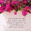 zaynabzaynab252