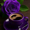 user7884094014628