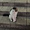 saby7ly