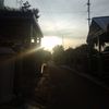ini_sell1