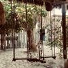 m_almazro3i