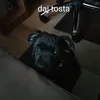 sexihektorek69