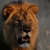 Madbookings Travel Namibia