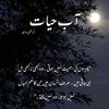 maryamkhan4010