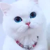 fefe46586