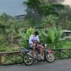 gobes_irengkempling