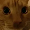 ronald.ro7