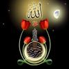 elsafaelmarwa1