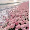 123_irina123