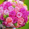 abdallh_20.02