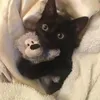 icyy_does_vr