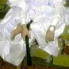 user2603715268001