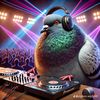 dj_picka104