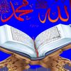 user4242503286111
