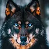 alonewolf5071