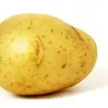 batatpotato