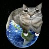 felixgatuno1221