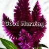 ellamah55