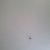 user5714281479108