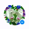user9138078517933