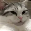 __oisii__