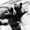 loki.0228