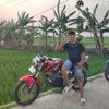 wili_cruiser