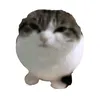 tran_thu10
