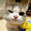 ziann_190