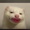 lenna_85