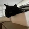 pirismus