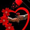 deeqo________inamacal