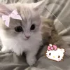 yzxandrea188