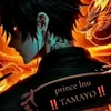 prince.lnu