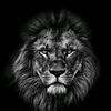 king_25i