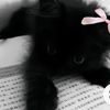 sashaaa.xxxxx