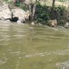 afrincon83