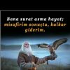 emircan6538