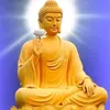 vothuong.73