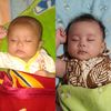 hengki_lex